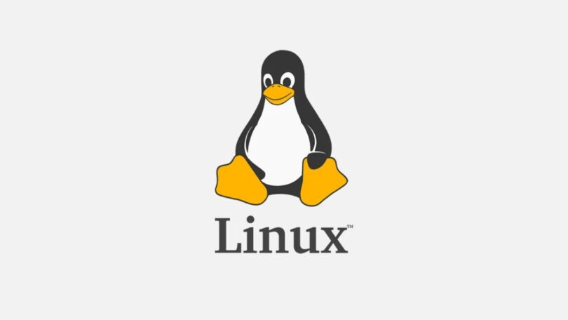 Logo officiel de Linux représentant le manchot "Tux" assis, avec l'inscription "Linux" en dessous, sur un fond gris clair minimaliste.