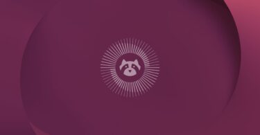 Fond d'écran officiel d'Ubuntu 26.04 LTS Resolute Raccoon aux teintes violettes avec le logo stylisé du raton laveur au centre d'un cercle graphique.